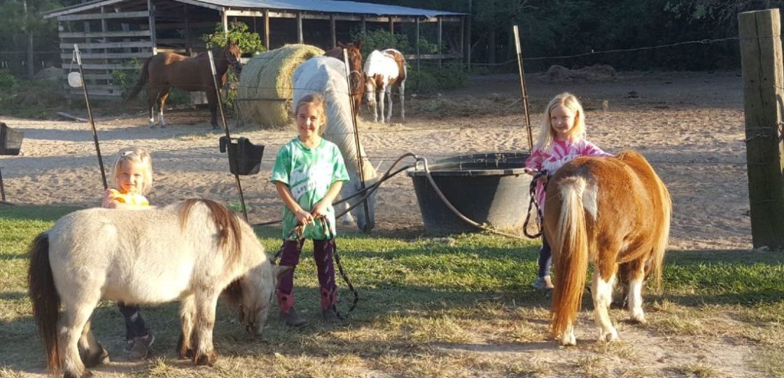 Training character through horseback riding